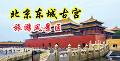日韩第四十六页视频在线中国北京-东城古宫旅游风景区